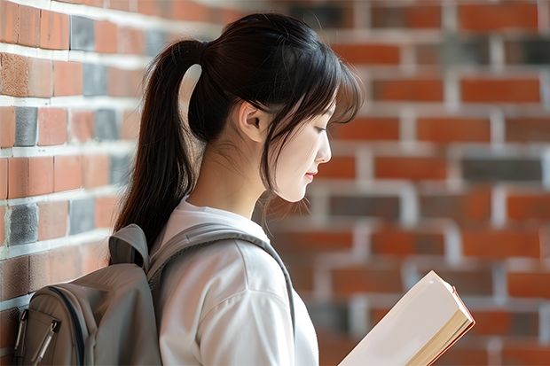 山东外国语职业技术学院春季高考学前教育分数线（山东旅游职业学院春考录取线）