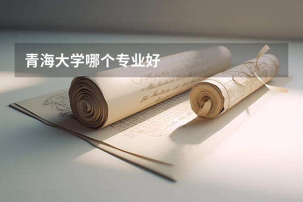 青海大学哪个专业好