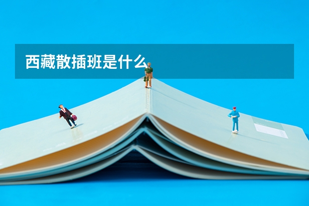 西藏散插班是什么