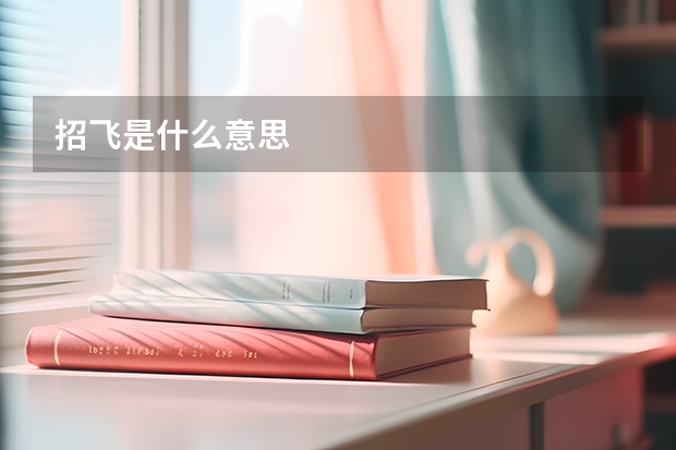 招飞是什么意思