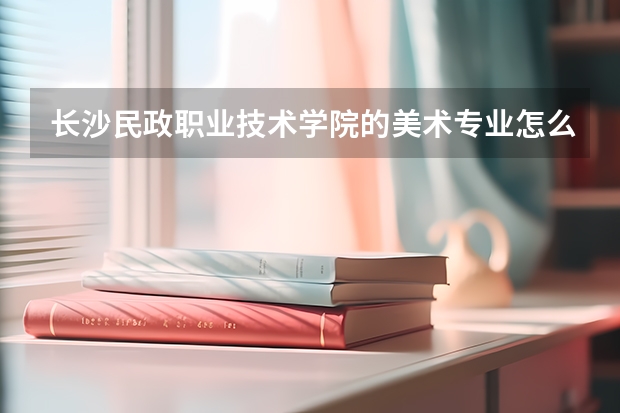 长沙民政职业技术学院的美术专业怎么样？