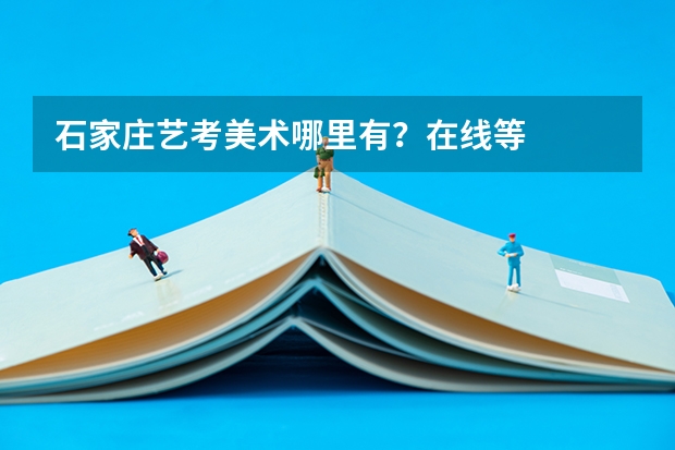 石家庄艺考美术哪里有？在线等