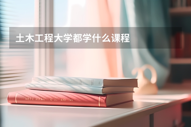 土木工程大学都学什么课程
