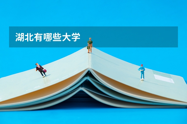 湖北有哪些大学