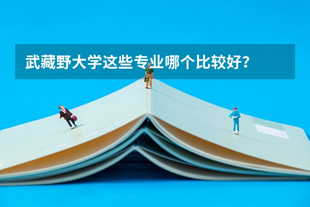 武藏野大学这些专业哪个比较好？