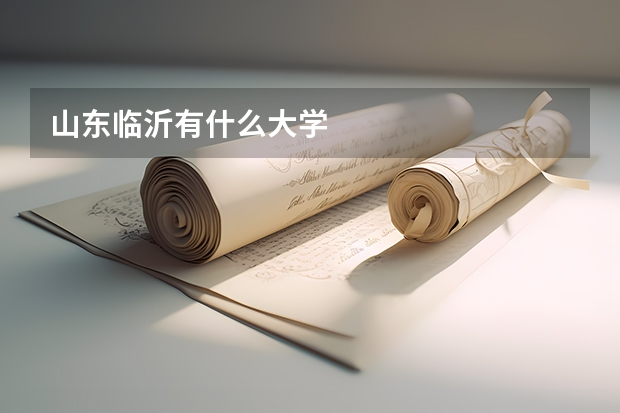 山东临沂有什么大学