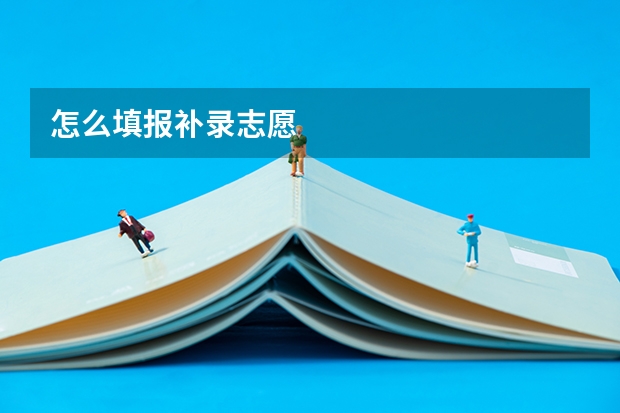 怎么填报补录志愿